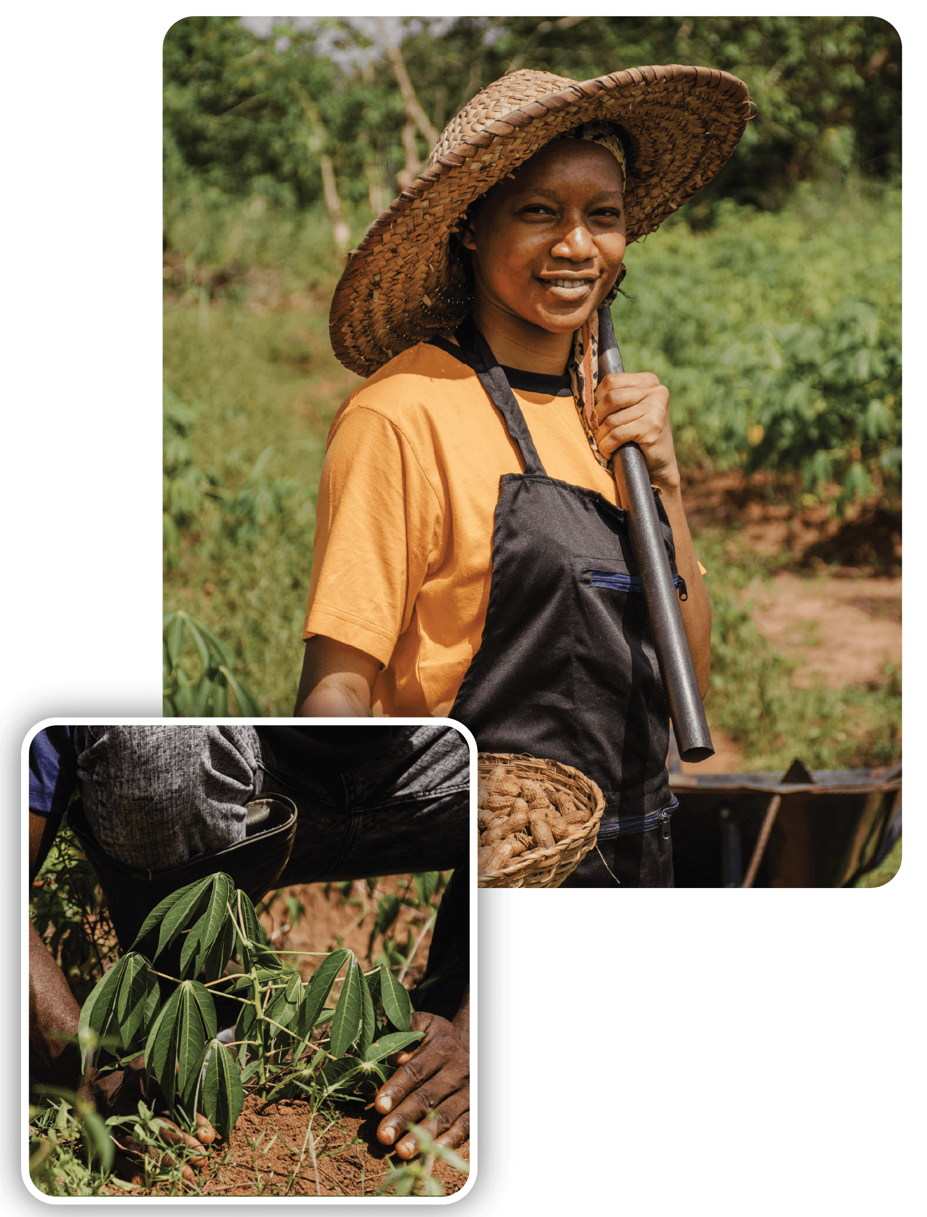 Fueling Agricultural Growth 2